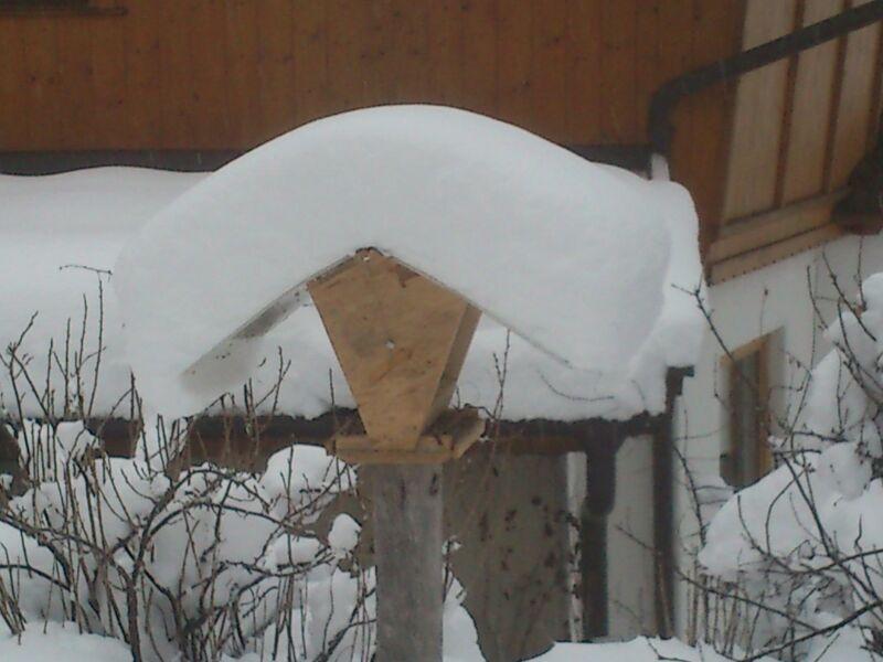Pension Alpenstern Oberau Exterior photo